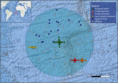 Spatial Variation in Pelagic Wildlife Assemblages in the Ascension Island Marine Protected Area: Implications for Monitoring and Management